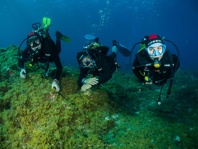 BAUTIZO DE BUCEO CON PURA VIDA