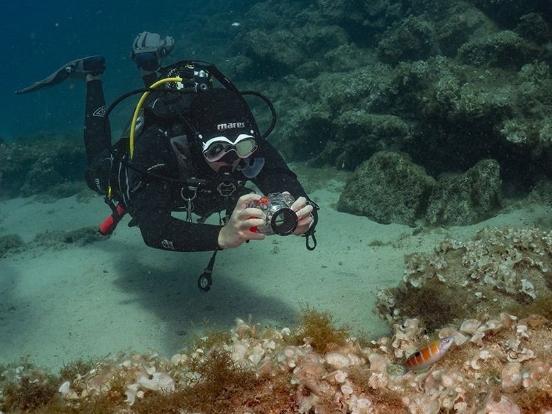 Curso Avanzado en Pura Vida Lanzarote