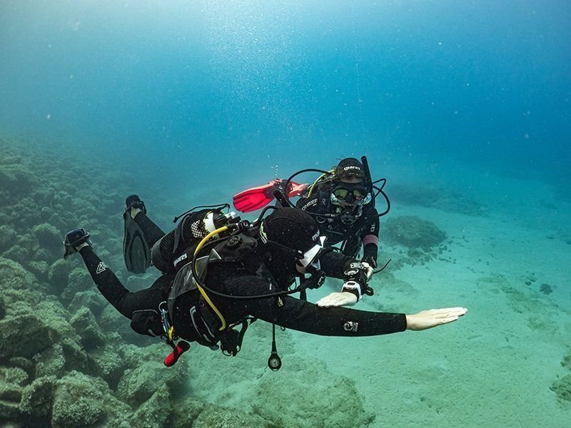 Curso Avanzado en Pura Vida Lanzarote