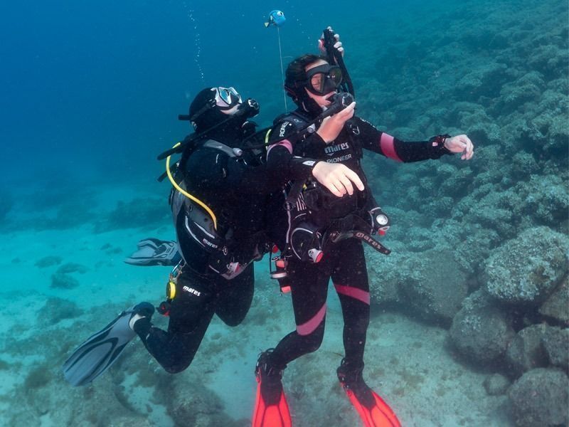 Curso Rescue DIver Lanzarote