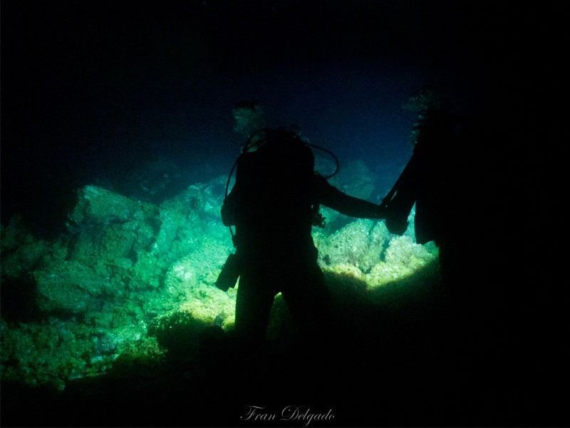buceo nocturno pura vida