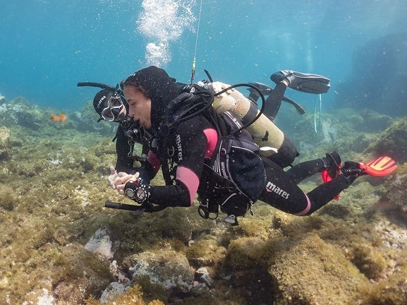 curso open water Pura Vida Diving Lanzarote