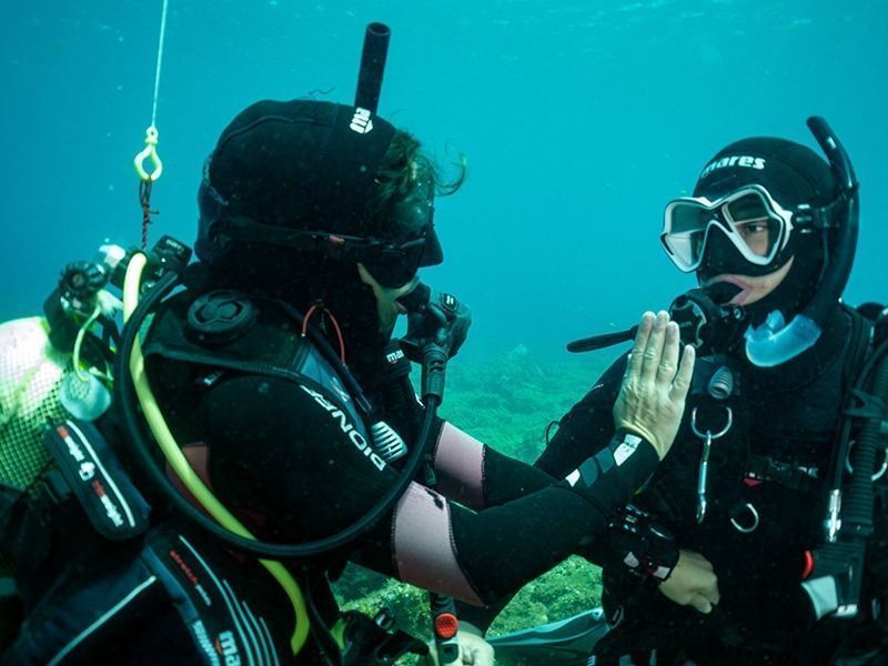 curso divemaster pura vida diving Lanzarote
