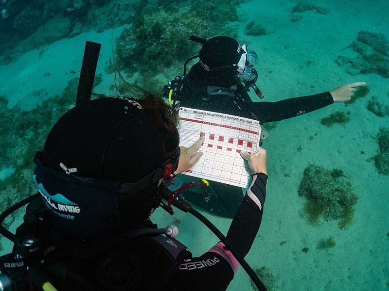 curso divemaster pura vida diving Lanzarote